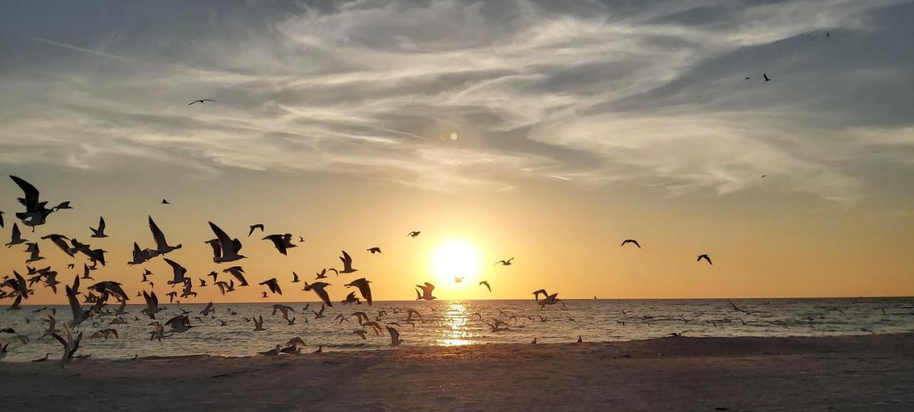 Sunset Vistas 407S Villa St. Pete Beach Exterior foto